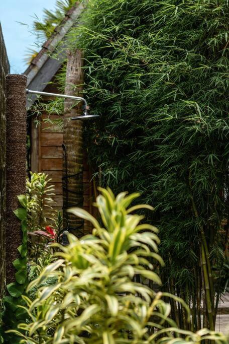 The Padang Villa Jungle Escape 5 Mins Drive From Uluwatu'S Beaches Buitenkant foto